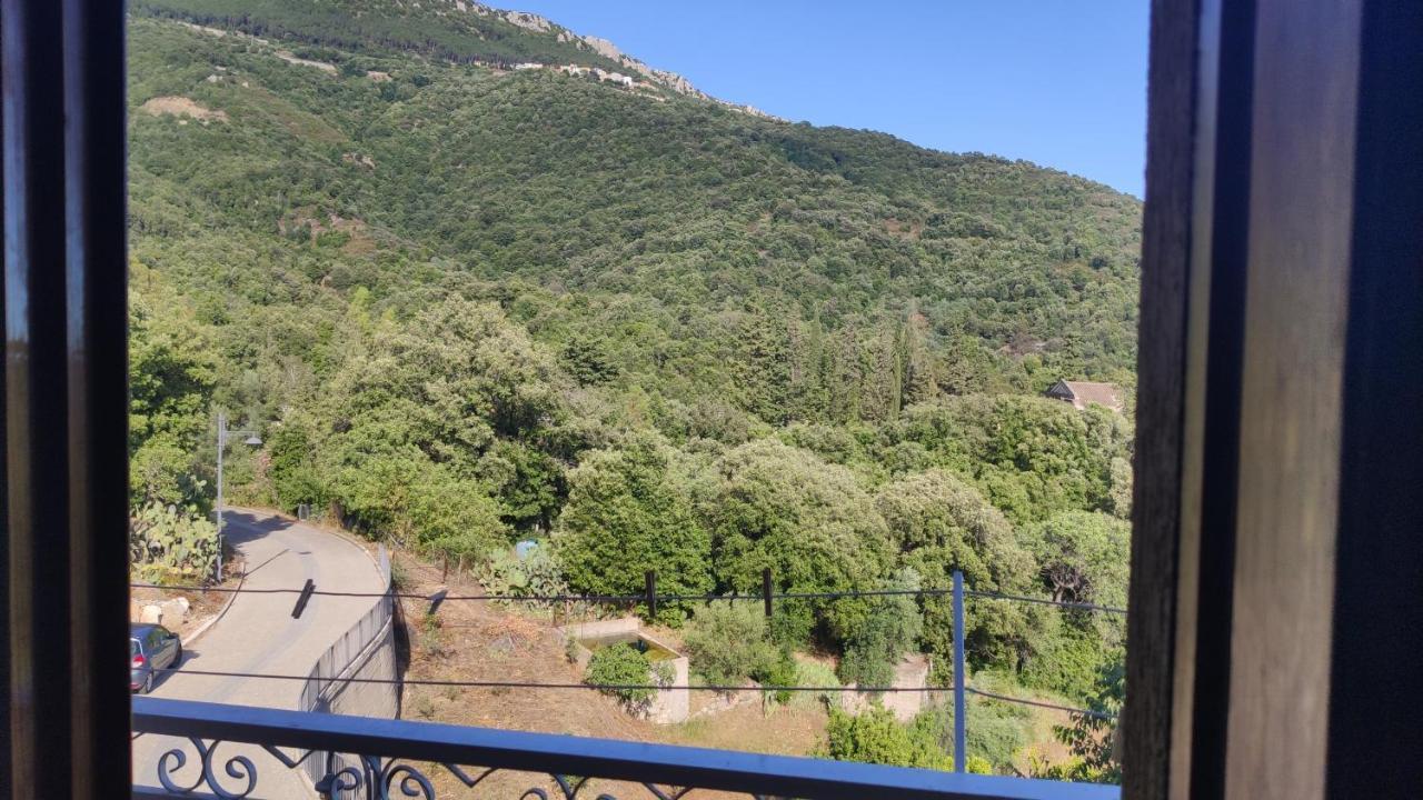 Triei Sa Dommu 'E Su Coro 빌라 외부 사진